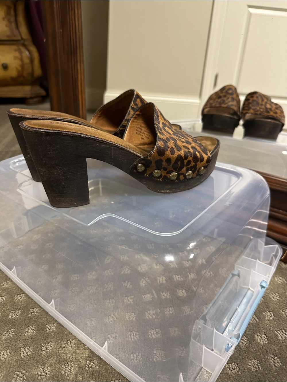 Jeffrey Campbell Leopard Print Slide Clogs in Brown